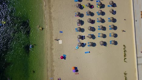 Overhead-drone-shot-of-the-beachfront-of-Playa-del-Port-de-Pollenca,-in-the-island-of-Mallorca,-located-in-the-Mediterranean-Sea