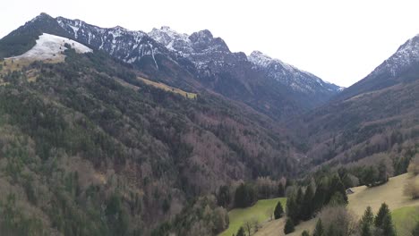 Aerial-reveal-shot-of-winter-forest-with-Snowy-Mountain-Landscape-in-Background