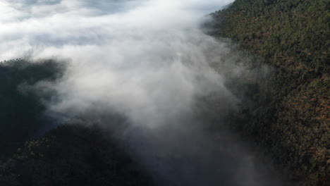 Misty-clouds-rolling-over-a-dense-forest-at-dawn,-aerial-view