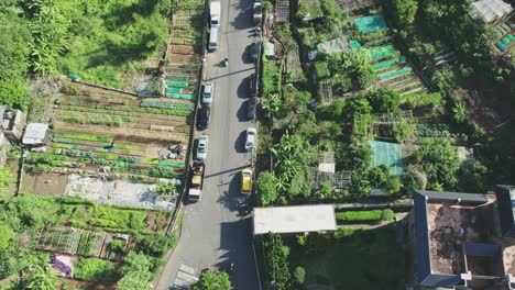 Luftaufnahme-Einer-Straße-Durch-Gemüseanbaugebiete-In-Taiwan