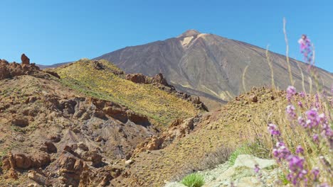 Gipfel-Des-Teide-An-Einem-Sonnigen-Sommertag,-Kanarische-Inseln,-Teneriffa,-Spanien