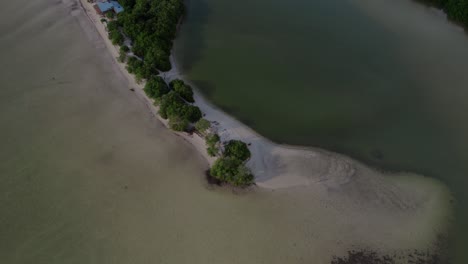 Un-Dron-Gira-Con-Gracia-Alrededor-De-Una-Playa-Tropical-Desde-Una-Perspectiva-De-Arriba-Hacia-Abajo,-Revelando-La-Serena-Costa-Antes-De-Inclinarse-Hacia-Arriba