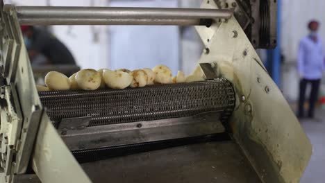 pov-shot-Potatoes-are-falling-on-the-conver-and-chips-are-being-prepared-for-processing