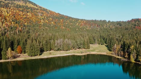 Autumnal-aerial-view-of-Lake-Sfanta-Ana-surrounded-by-colorful-forest