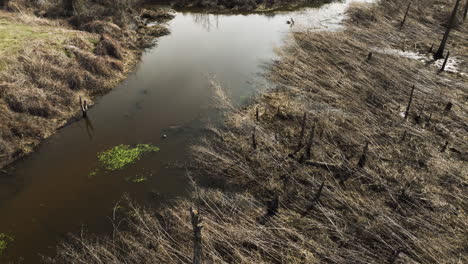 Point-remove-wildlife-area,-blackwell,-arkansas,-with-dry-grass-and-still-water,-aerial-view