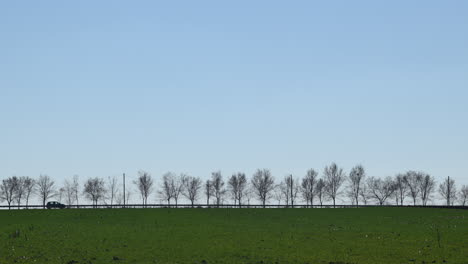 Coches-En-El-Camino-Rural-Rodeado-De-árboles.