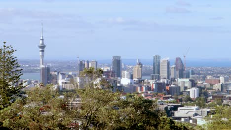 A-full-and-handheld-shot-of-the-Auckland-skyline-in-New-Zealand-seen-through-the-branches-of-some-trees-on-a-sunny-and-clear-afternoon-with-wind-and-a-blue-sky