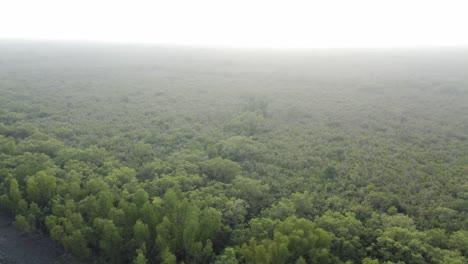 Ariel-view-shot-of-Sundarban,-which-is-one-of-the-biggest-tiger-reserve-forest-in-Asia