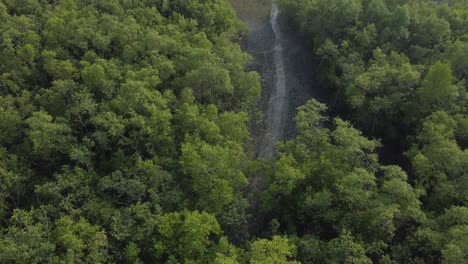 Vista-Aérea-De-Sundarban,-Que-Es-Uno-De-Los-Bosques-De-Reserva-De-Tigres-Más-Grandes-De-Asia.