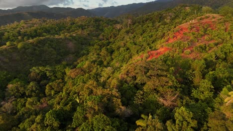 Drone-aerial-footage-of-Jaco-Costa-Rica-rainforest-coast-trees-jungle-Central-America