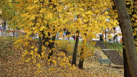 Static-shot-of-autumn-leaves-in-park-by-busy-street-in-Stockholm