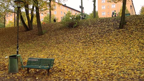 Blick-Auf-Einen-Mit-Herbstlaub-Bedeckten-Hügel,-An-Dem-Fußgänger-Vorbeigehen