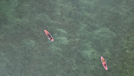 Directly-top-down-drone-shot-of-people-kayak-on-the-beach