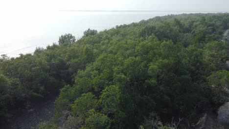 Vista-Aérea-De-Sundarban,-Que-Es-Uno-De-Los-Bosques-De-Reserva-De-Tigres-Más-Grandes-De-Asia.