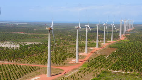 Aerial-view-of-wind-fan-in-the-middle-of-a-green-area-of-palm-trees,-Ceara,-Brazil