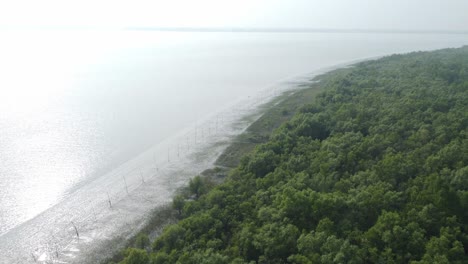 Ariel-view-shot-of-Sundarban,-which-is-one-of-the-biggest-tiger-reserve-forest-in-Asia