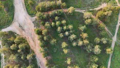 4k-60fps-|-Vista-Superior-Del-Sendero-En-El-Parque-Durante-La-Tarde