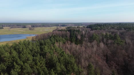 Drohne-Fliegen-über-Mischwald-Landschaft-Sonnigen-Tag-Luftaufnahme-Hohen-Winkel
