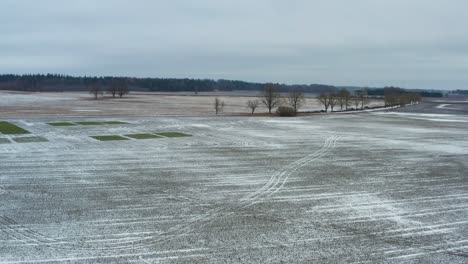 Vista-Aérea-De-La-Pareja-De-Cisnes-Volando-Bajo,-Tierras-De-Cultivo-Con-Nieve-Fina