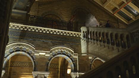 Interior-detailed-architecture-of-Natural-History-Museum-in-London,-England