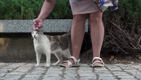 Mujer-Turista-Acariciando-Un-Tierno-Gato-Callejero-En-La-Cabeza-En-Un-Parque,-Bulgaria