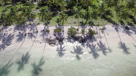 Hohe-Palmen-Schatten-Breiten-Sich-über-Den-Weißen-Sand-Und-Das-Kristallklare-Tropische-Wasser-Von-Asserradero-Samana-Dominikanische-Republik-Aus