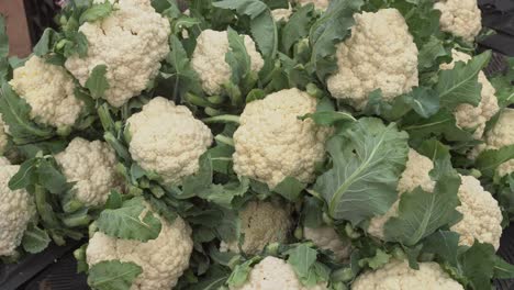 cauliflower-is-being-sold-in-the-market