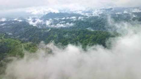 La-Majestuosa-Vista-Desde-Arriba-De-La-Nube-De-Un-Parque-Nacional-De-Selva-Tropical,-Un-Faro-De-Conservación-En-La-5-Selva-Tropical-Más-Grande-Del-Mundo