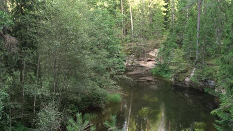 The-Ahja-River,-hidden-among-the-trees