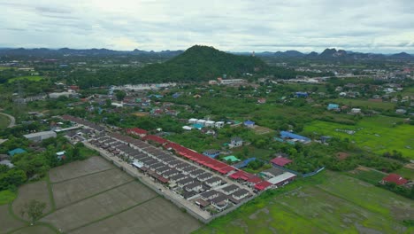 Real-Estate-Village-Surrounded-by-Green-Fields-and-Trees-in-Ratchaburi-Province,-Thailand
