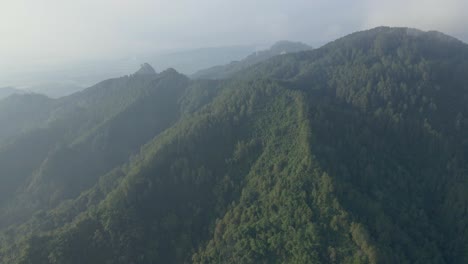 Aerial-view-of-foggy-morning-over-mountain-forest