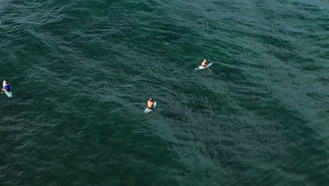 Fast-drone-orbit-around-surfers-waiting-on-shortboard-in-clear-Caribbean-waters-of-Curacao