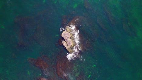 Drone-view-ascending-above-a-rock-in-the-middle-of-the-sea,-where-birds-are-resting