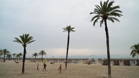 Playa-De-Palma-Sombrillas-De-Paja-Y-Palmeras-En-La-Playa-Dorada-De-Mallorca-Con-Turistas-Caminando-Por-El-Paisaje-De-Arena