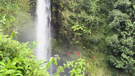 Die-Hi‘ilawe-Wasserfälle-Erzeugen-Nebel-Im-Natürlichen-Regenwald-Von-Hawaii