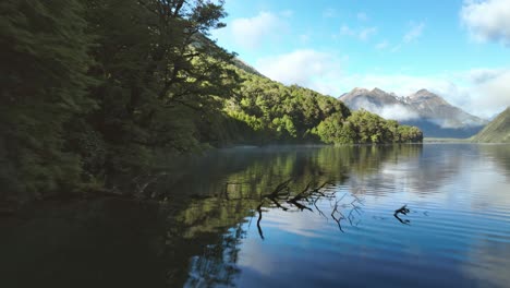 Green-tree-forest-on-shore-of-Lake-Gunn-in-New-Zealand,-calm-water