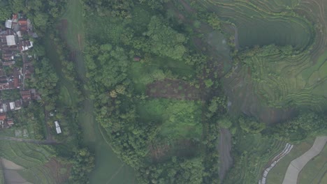 Luftaufnahme-Von-Oben-Nach-Unten-Der-Indonesischen-Ländlichen-Landschaft