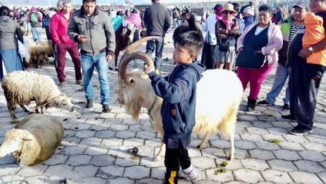 Boy-leads-a-goat-through-a-bustling-Otavalo-market-in-Ecuador,-capturing-local-culture
