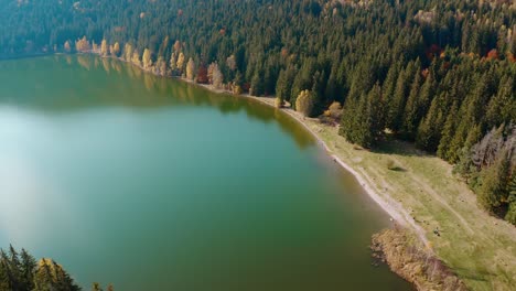 Lake-sfanta-ana-in-harghita-during-autumn-with-colorful-trees,-aerial-view