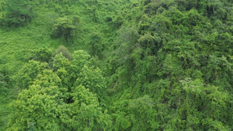 Serenas-Cimas-De-Montañas-En-La-Jungla-Del-Norte-De-Tailandia.