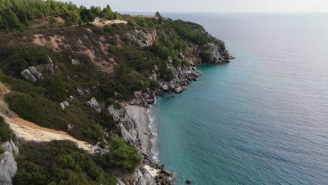 Aerial-view-of-a-cliff-falling-in-the-sea-with-pine-trees-during-sunset