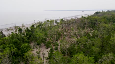 Aerial-pan-shot-of-the-expansive-mangrove-forest-near-Kuakata-beach,-adjacent-to-Sundarbans