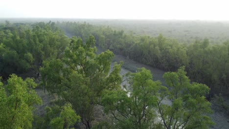 Vista-Aérea-De-Sundarban,-Que-Es-Uno-De-Los-Bosques-De-Reserva-De-Tigres-Más-Grandes-De-Asia.