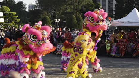 Traditional-Lunar-New-Year-Chinese-Lion-Dancers-raise-mask-with-ornate-colorful-costumes,-Taipei-Taiwan