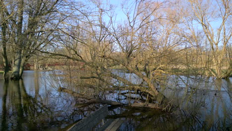 Drone-shot-of-flooded-bench