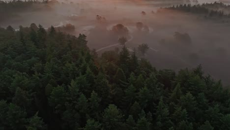 Aerial-view-of-wild-heather-in-countryside-during-foggy-morning,-Netherlands