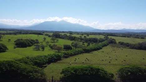 Berge-In-Costa-Rica,-Laubbäume,-Grün,-Luftbildvideo-Von-Costa-Rica,-Regenwald,-Wald