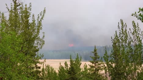 Verheerender-Waldbrand-In-Weiter-Ferne-Mit-Sichtbaren-Flammen-Und-Schwarzem-Rauch