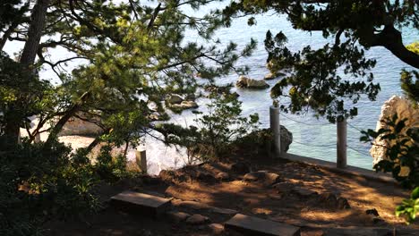 Beautiful-view-out-on-silhouetted-forest-and-ocean-from-top-of-cliff