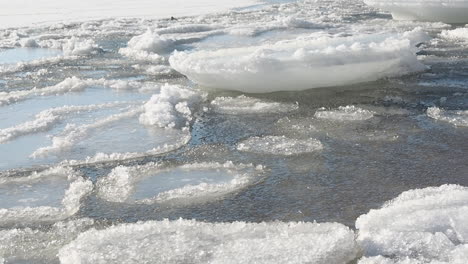 Las-Bandejas-De-Hielo-Del-Mar-Báltico-Se-Balancean-Sobre-La-Superficie-Del-Agua-Congelada-En-Un-Suave-Oleaje-Invernal